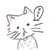 puu-kari